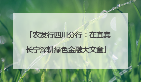 农发行四川分行：在宜宾长宁深耕绿色金融大文章
