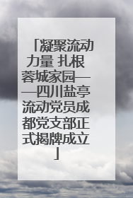 凝聚流动力量 扎根蓉城家园——四川盐亭流动党员成都党支部正式揭牌成立