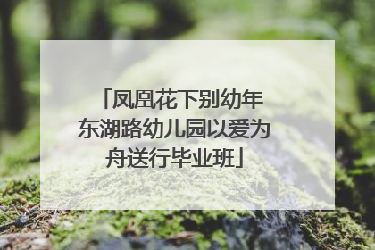 凤凰花下别幼年 东湖路幼儿园以爱为舟送行毕业班