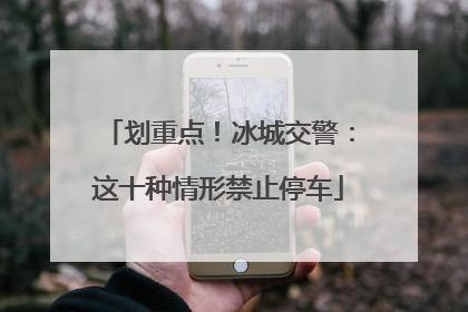 划重点！冰城交警：这十种情形禁止停车