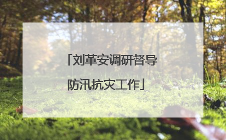 刘革安调研督导防汛抗灾工作