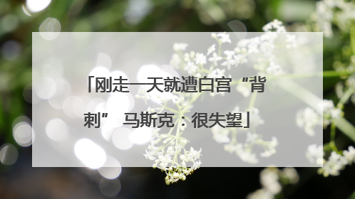刚走一天就遭白宫“背刺” 马斯克：很失望