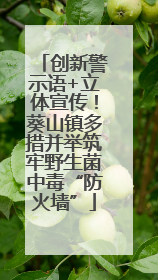 创新警示语+立体宣传！葵山镇多措并举筑牢野生菌中毒“防火墙”