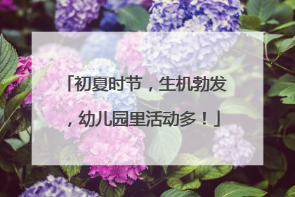 初夏时节，生机勃发，幼儿园里活动多！