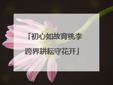 初心如故育桃李 跨界耕耘守花开