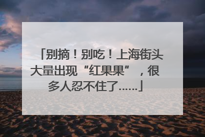 别摘！别吃！上海街头大量出现“红果果”，很多人忍不住了……