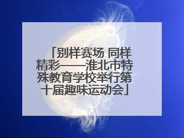 别样赛场 同样精彩——淮北市特殊教育学校举行第十届趣味运动会