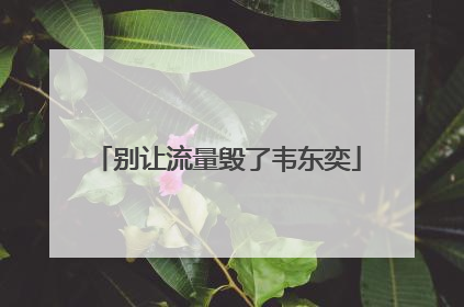 别让流量毁了韦东奕