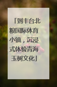 到丰台北粮国际体育小镇，沉浸式体验青海玉树文化