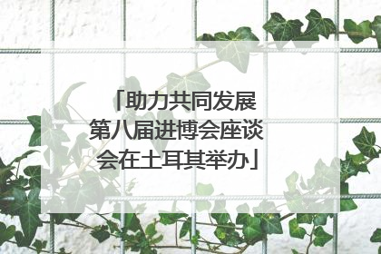 助力共同发展 第八届进博会座谈会在土耳其举办