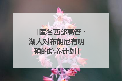 匿名西部高管：湖人对布朗尼有明确的培养计划
