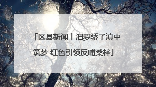 区县新闻丨汨罗骄子滇中筑梦 红色引领反哺桑梓
