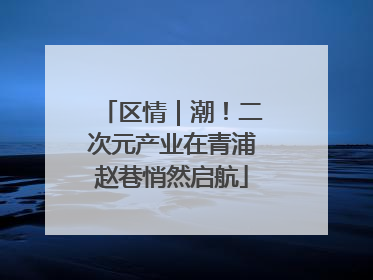 区情｜潮！二次元产业在青浦赵巷悄然启航