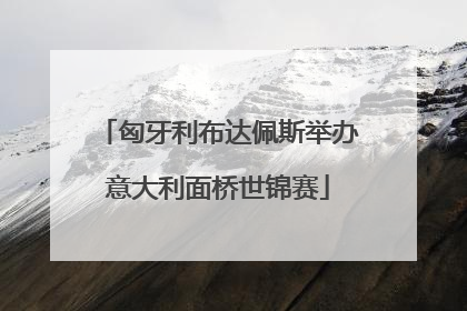 匈牙利布达佩斯举办意大利面桥世锦赛