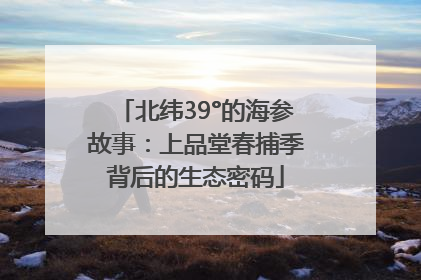 北纬39°的海参故事：上品堂春捕季背后的生态密码