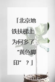 北京地铁扶梯上为何多了“黄色脚印”？