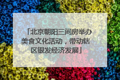 北京朝阳三间房举办美食文化活动，带动辖区银发经济发展