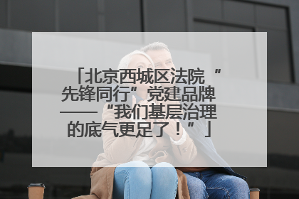 北京西城区法院“先锋同行”党建品牌——“我们基层治理的底气更足了！”