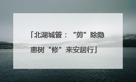 北湖城管：“剪”除隐患树“修”来安居行