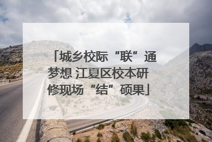 城乡校际“联”通梦想 江夏区校本研修现场“结”硕果