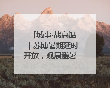 城事·战高温｜苏博暑期延时开放，观展避暑两不误
