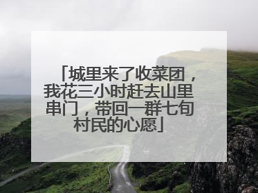 城里来了收菜团，我花三小时赶去山里串门，带回一群七旬村民的心愿