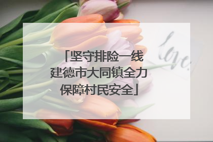 坚守排险一线 建德市大同镇全力保障村民安全