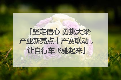 坚定信心 勇挑大梁·产业新亮点丨产赛联动，让自行车飞驰起来
