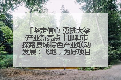 坚定信心 勇挑大梁·产业新亮点丨邯郸市探路县域特色产业联动发展：飞地，为好项目跨域安个家
