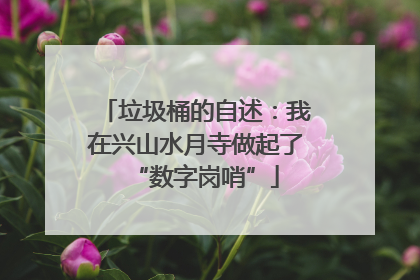 垃圾桶的自述：我在兴山水月寺做起了“数字岗哨”