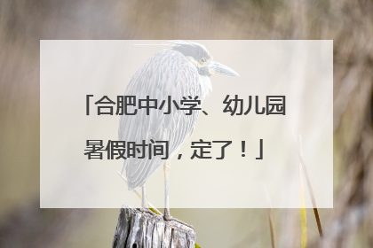 合肥中小学、幼儿园暑假时间，定了！