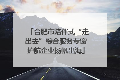合肥市陪伴式“走出去”综合服务专窗护航企业扬帆出海