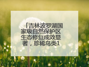 吉林波罗湖国家级自然保护区生态修复成效显著，珍稀鸟类10年增加5倍