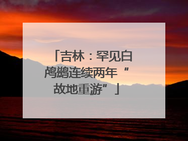 吉林：罕见白鸬鹚连续两年“故地重游”