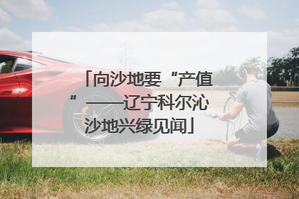 向沙地要“产值”——辽宁科尔沁沙地兴绿见闻