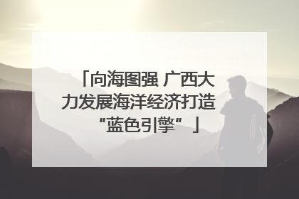 向海图强 广西大力发展海洋经济打造“蓝色引擎”