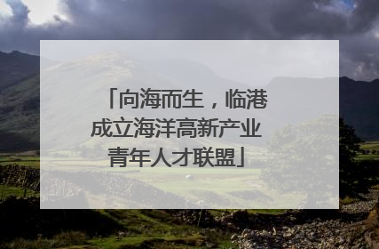 向海而生，临港成立海洋高新产业青年人才联盟