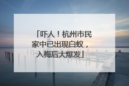 吓人！杭州市民家中已出现白蚁，入梅后大爆发