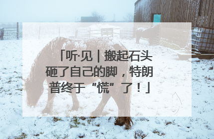 听·见｜搬起石头砸了自己的脚，特朗普终于“慌”了！
