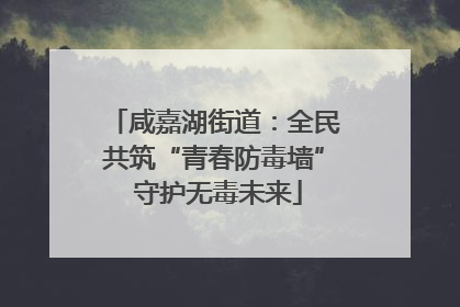 咸嘉湖街道：全民共筑“青春防毒墙” 守护无毒未来