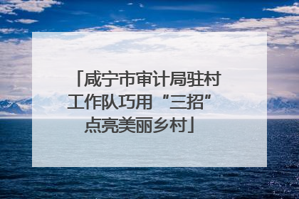 咸宁市审计局驻村工作队巧用“三招”点亮美丽乡村