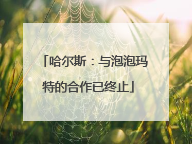 哈尔斯：与泡泡玛特的合作已终止