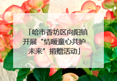 哈市香坊区向阳镇开展“情暖童心共护未来”捐赠活动
