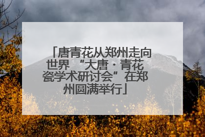 唐青花从郑州走向世界 “大唐・青花瓷学术研讨会”在郑州圆满举行