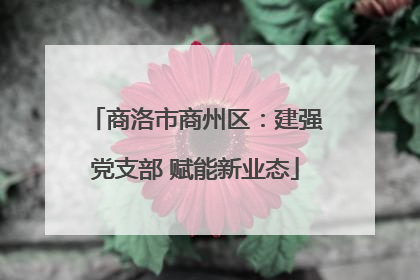 商洛市商州区：建强党支部 赋能新业态