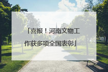 喜报！河南文物工作获多项全国表彰