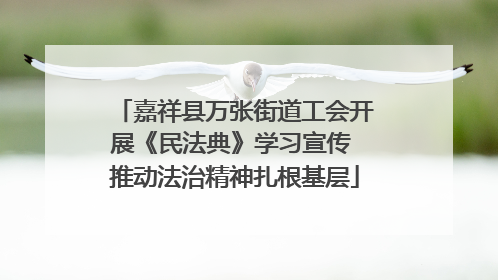 嘉祥县万张街道工会开展《民法典》学习宣传 推动法治精神扎根基层