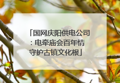 国网庆阳供电公司：电牵庙会百年情 守护古镇文化根