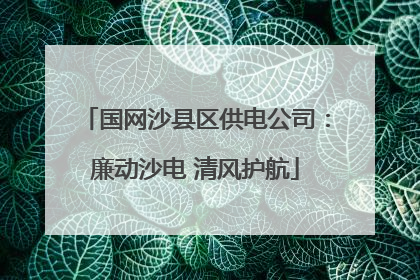国网沙县区供电公司：廉动沙电 清风护航
