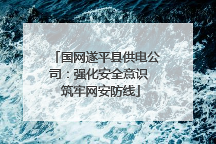 国网遂平县供电公司：强化安全意识 筑牢网安防线